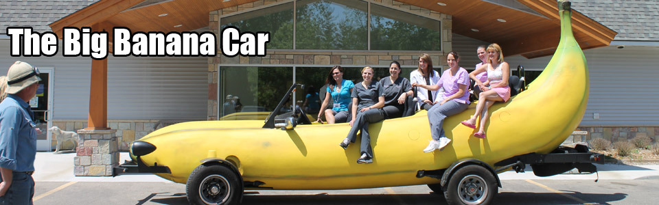 This is a photograph of the <strong>Big Banana Car</strong>.